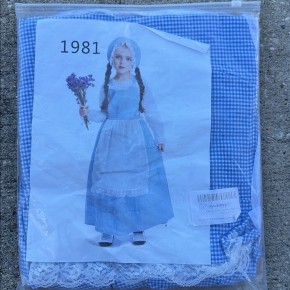 Blue and White Gingham Dress with Apron and Bonnet - Picture 2 of 3